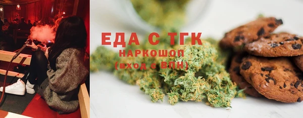 индика Губаха