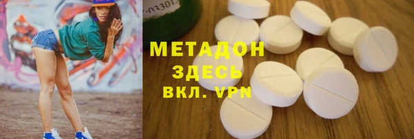 индика Губаха