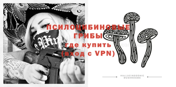 гидропоника Осинники