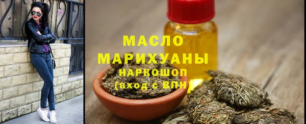 индика Губаха