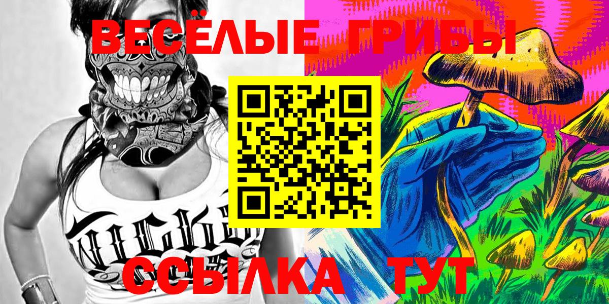 Алексин  Псилоцибиновые грибы Psilocybe  Вход с VPN 