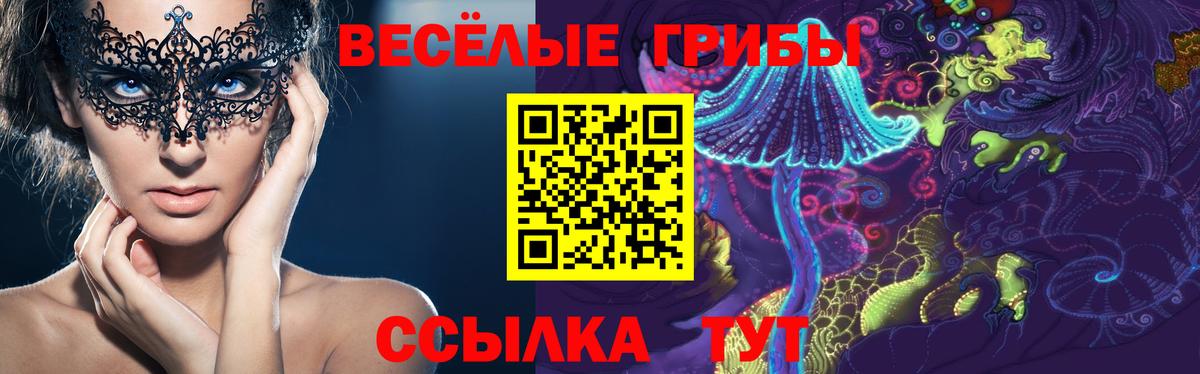 Псилоцибиновые грибы ЛСД Алексин